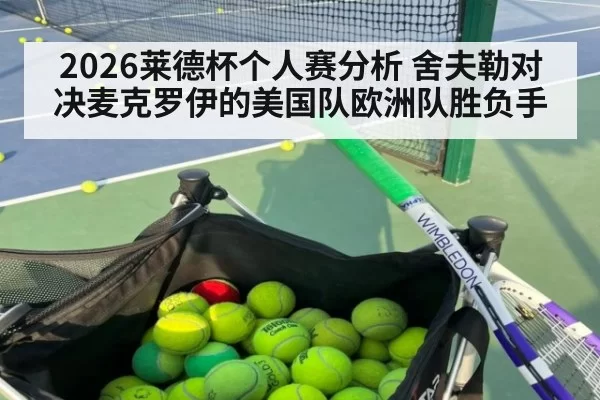 2026莱德杯个人赛分析 舍夫勒对决麦克罗伊的美国队欧洲队胜负手